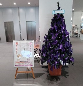 ソロプチ
