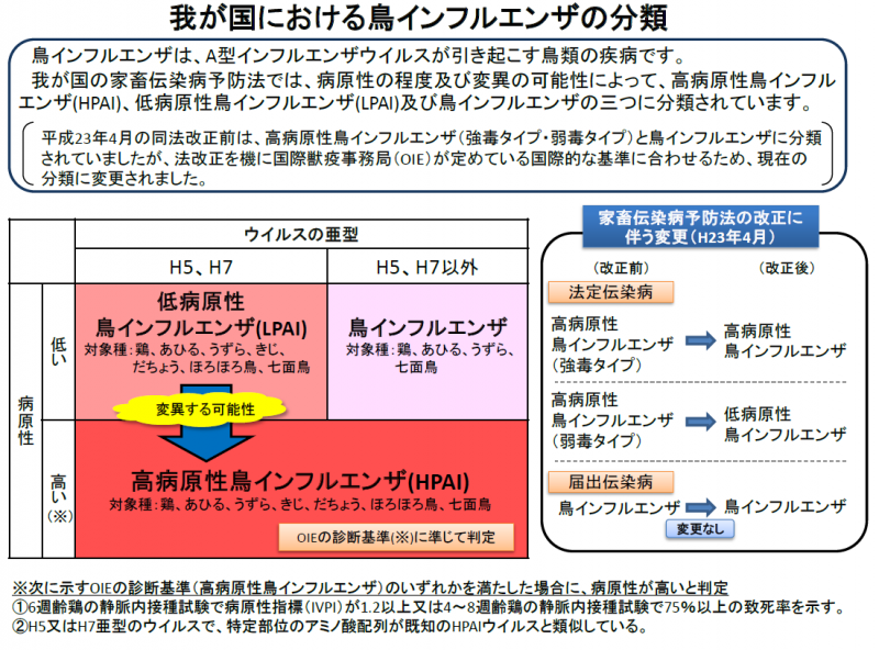 鳥インフル分類